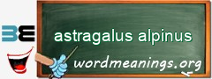 WordMeaning blackboard for astragalus alpinus